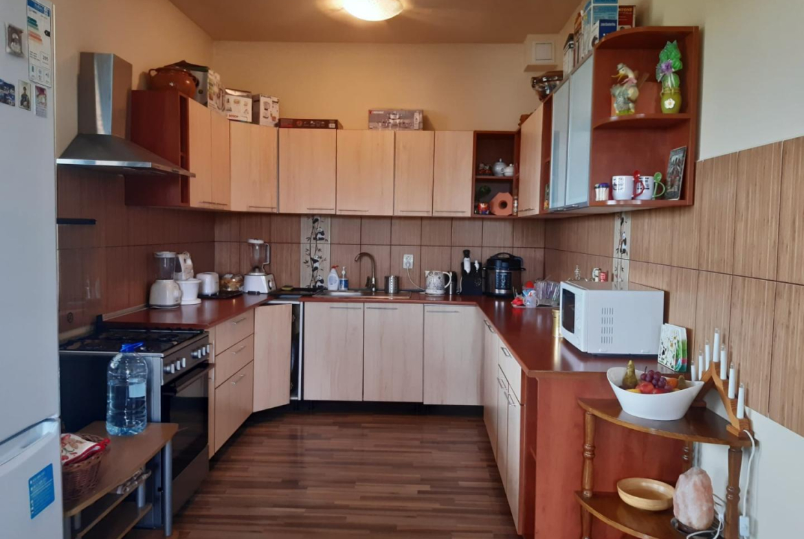 Vilă Individuală pe Malul Lacului Vadul lui Mos – Berceni