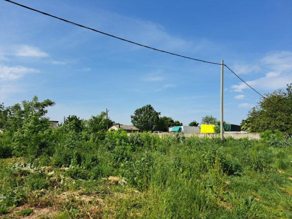 Popesti Leordeni, Balta Floarea Popestului