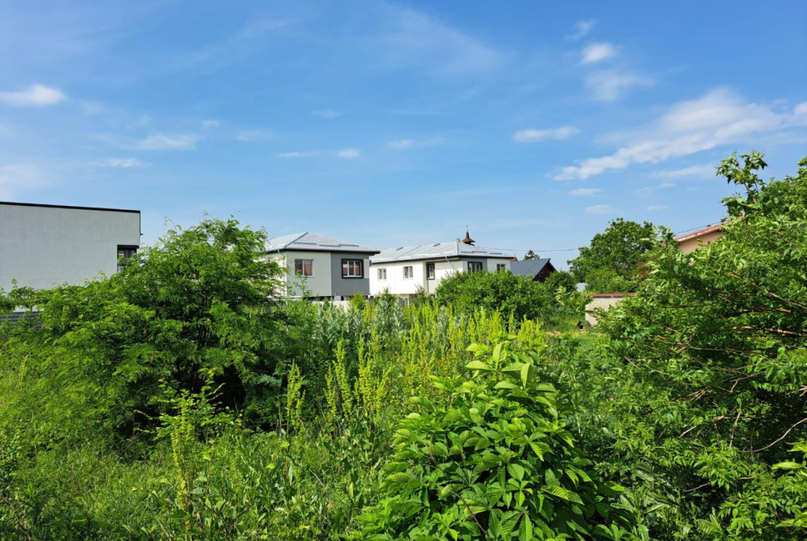 Popesti Leordeni, Balta Floarea Popestului
