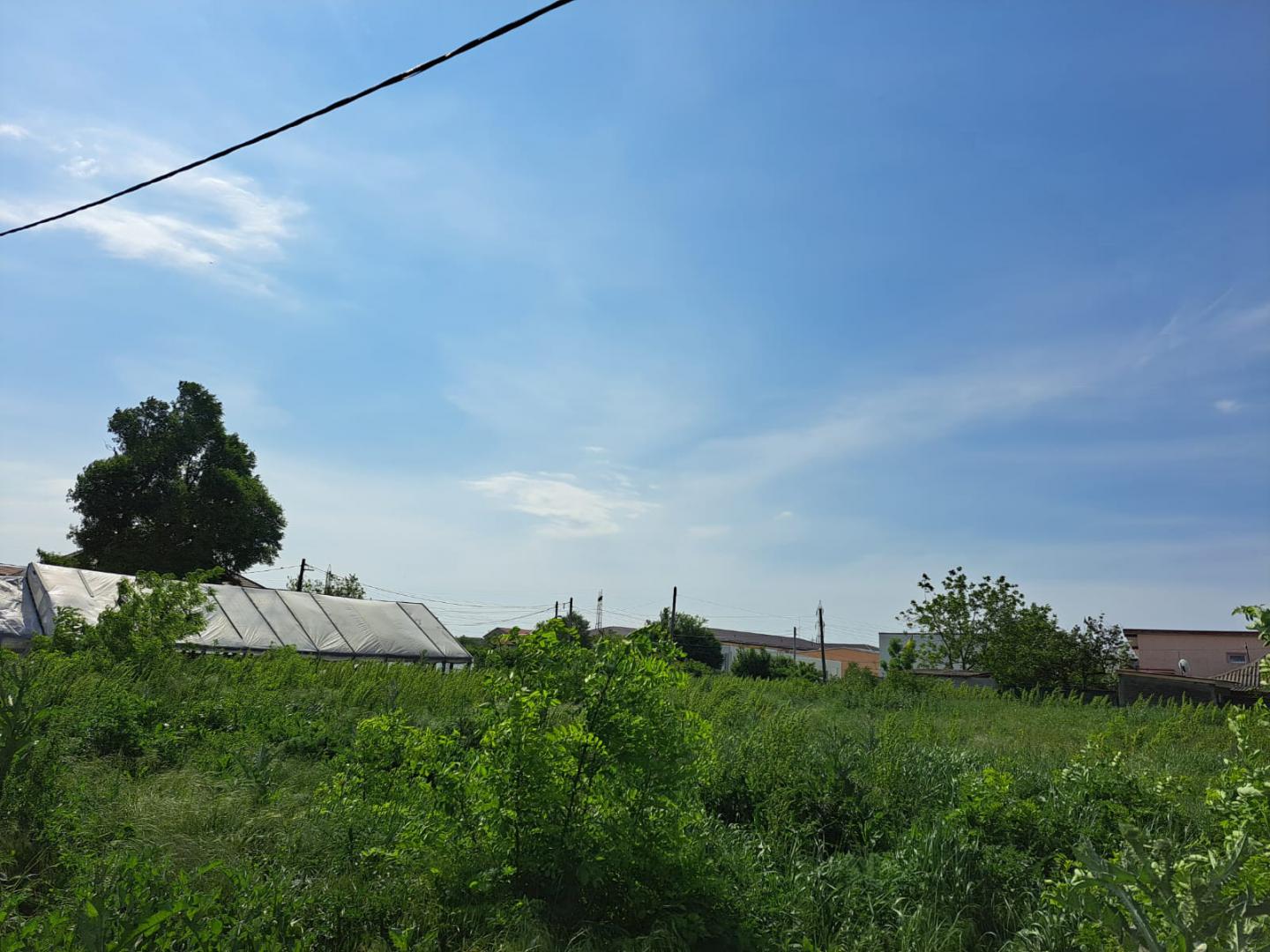 pitagora-315804739-4-47550612-6_orig Popesti Leordeni, Balta Floarea Popestului