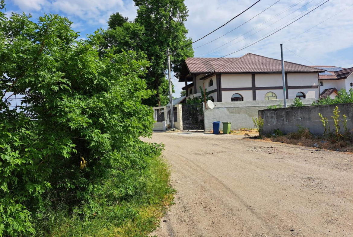 Popesti Leordeni, Balta Floarea Popestului