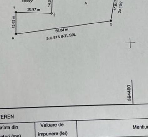 Popesti Leordeni, Balta Floarea Popestului
