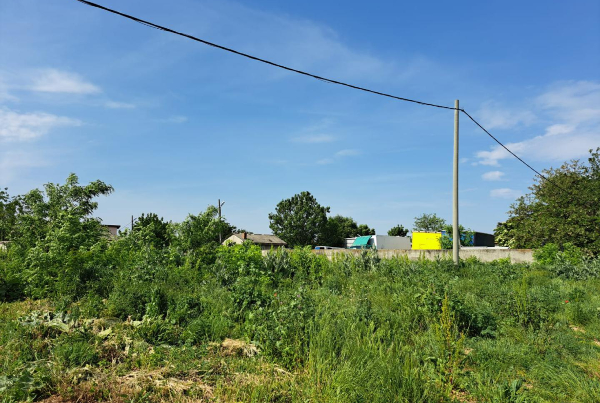 Popesti Leordeni, Balta Floarea Popestului