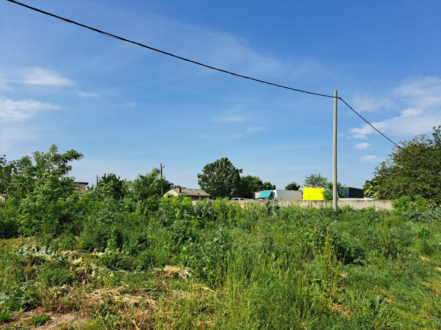 pitagora-315804743-3-9a720d3a-4_orig Popesti Leordeni, Balta Floarea Popestului