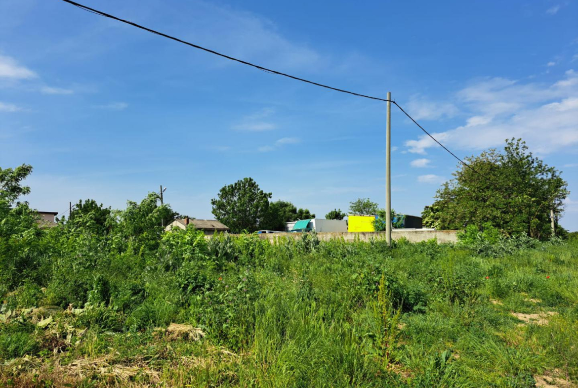 Popesti Leordeni, Balta Floarea Popestului