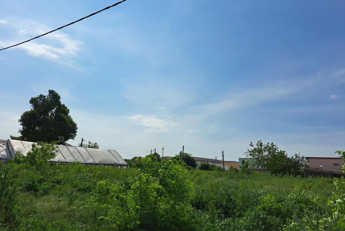 Popesti Leordeni, Balta Floarea Popestului