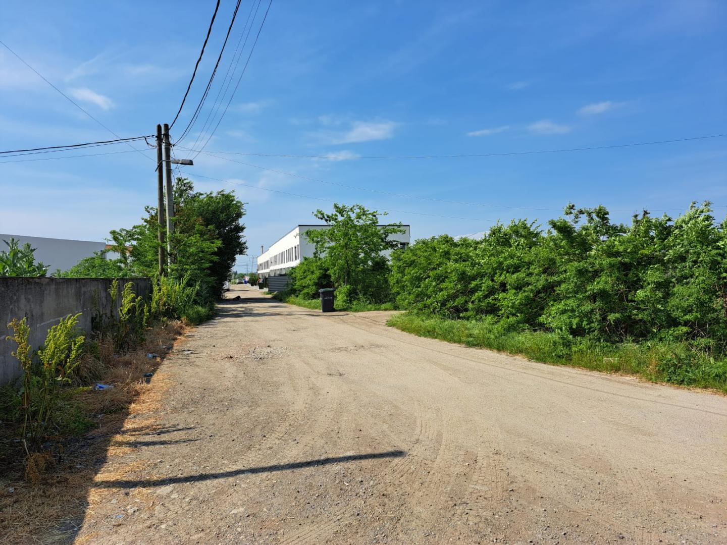 pitagora-315804743-7-e914778d-8_orig Popesti Leordeni, Balta Floarea Popestului