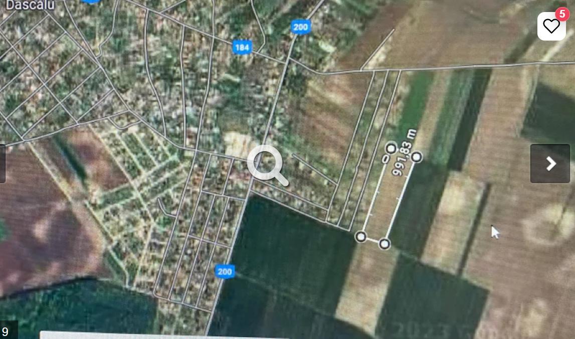 Vand teren intravilan comuna Dascalu 1,8 ha cu deschidere de 50 ml