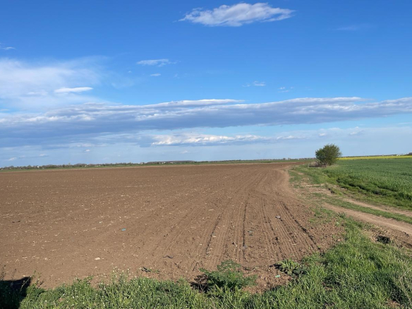 Vand teren intravilan comuna Dascalu 1,8 ha cu deschidere de 50 ml