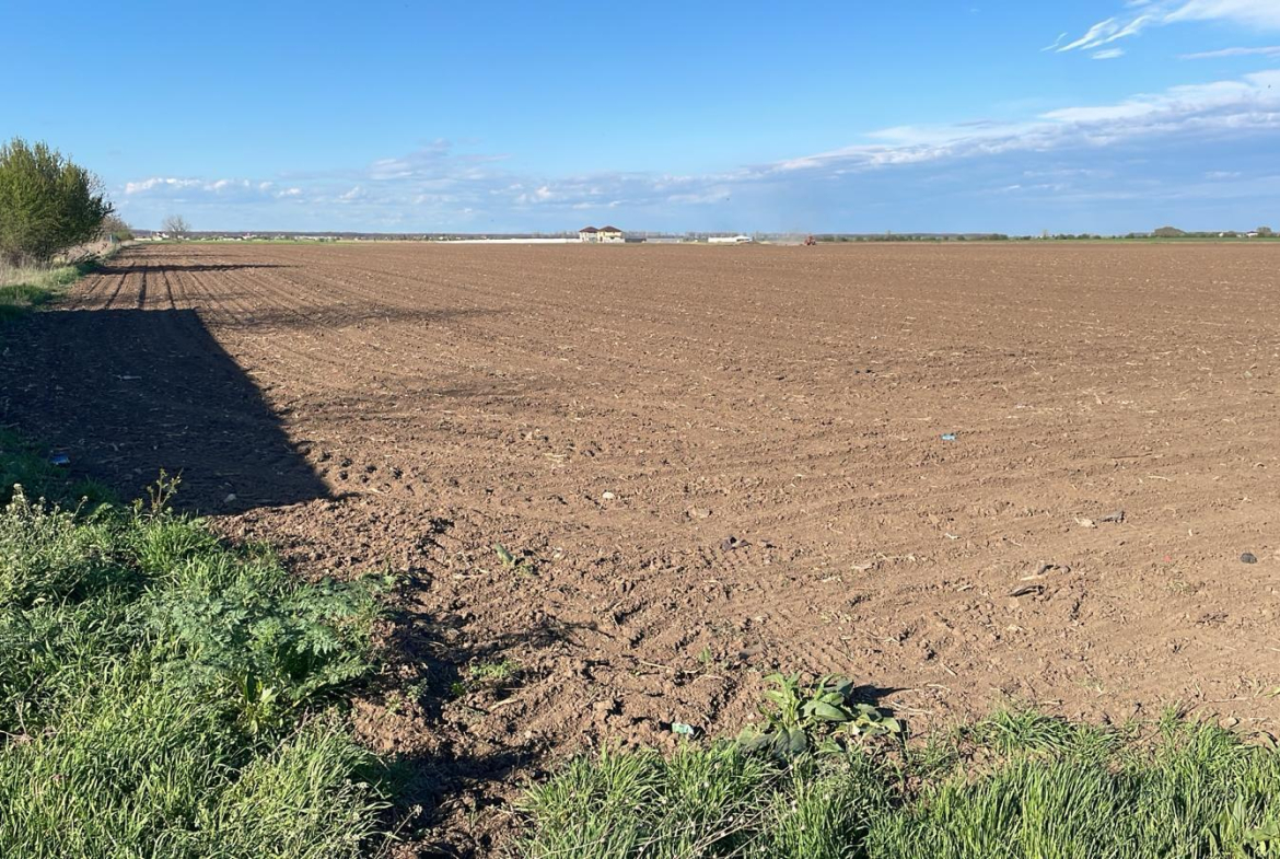 Vand teren intravilan comuna Dascalu 1,8 ha cu deschidere de 50 ml