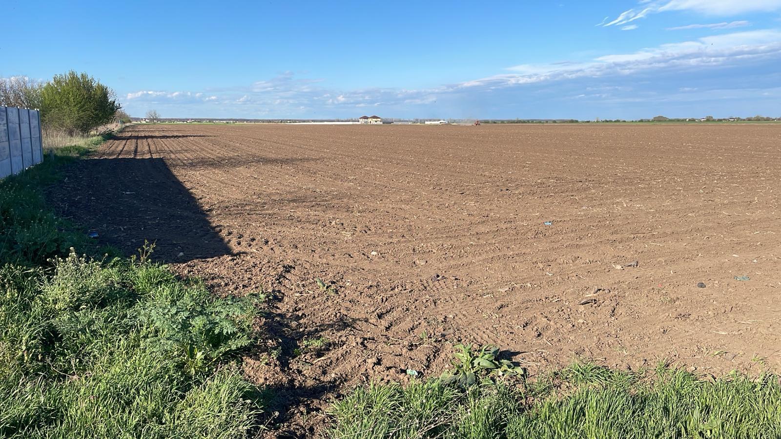 Vand teren intravilan comuna Dascalu 1,8 ha cu deschidere de 50 ml