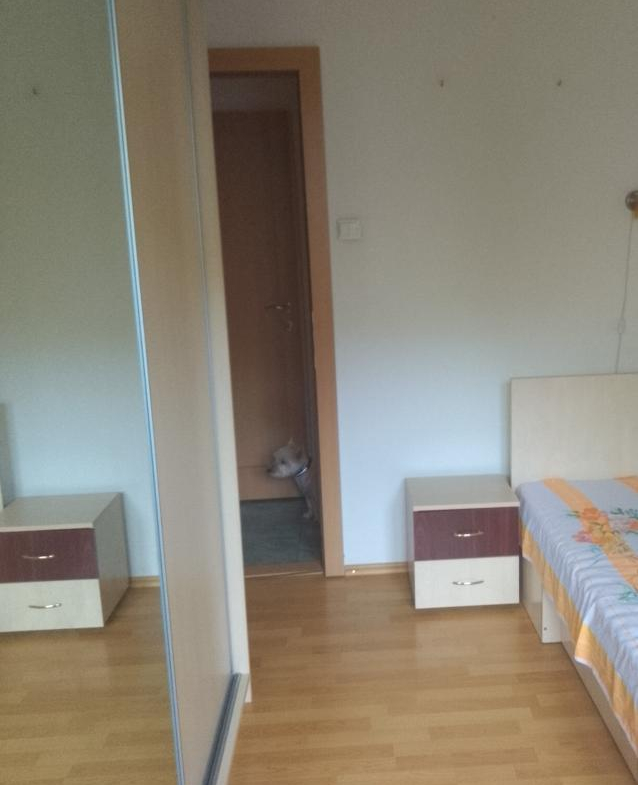 Apartament 3 Camere Decebal Burebista OFERTA
