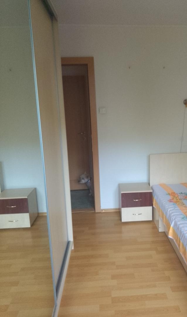 pitagora-315855443-2-557a8678-foto-10-bis_orig Apartament 3 Camere Decebal Burebista OFERTA