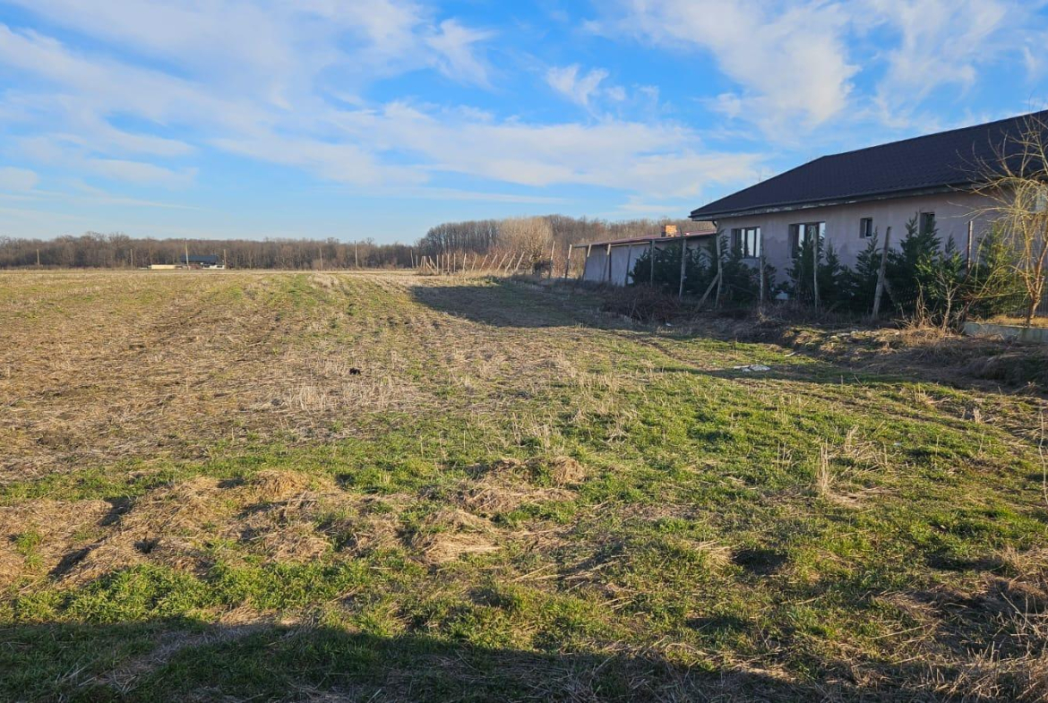 Vand teren in  Magurele – strada Stejarului – loturi 500 mp