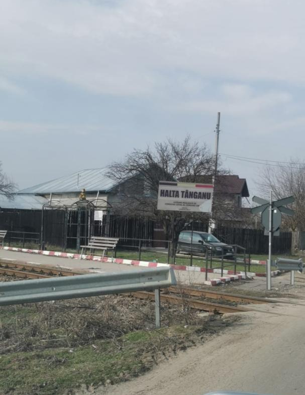 Vand teren intravila in sat Tanganu, comuna Cernica
