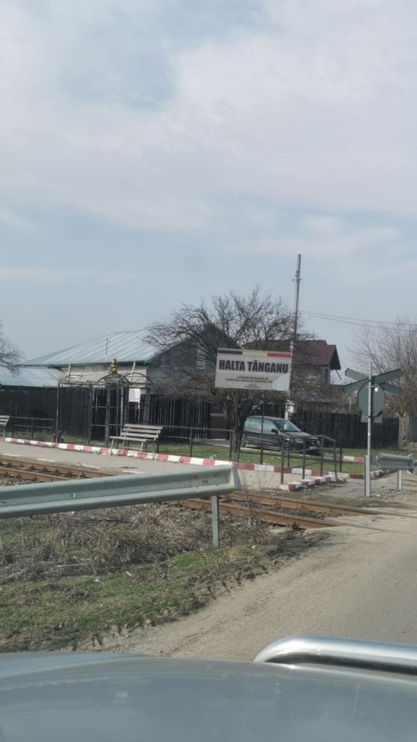 Vand teren intravila in sat Tanganu, comuna Cernica