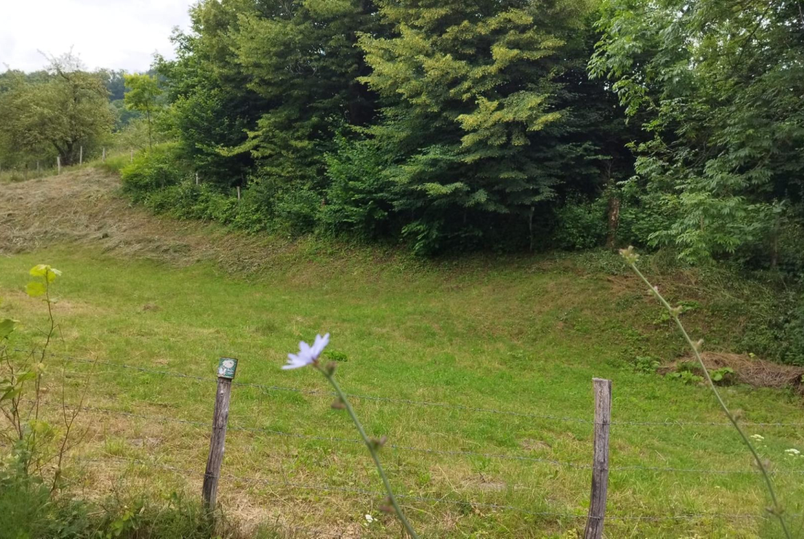 Prahova- Valenii de Munte- Varbilau 1659 mp