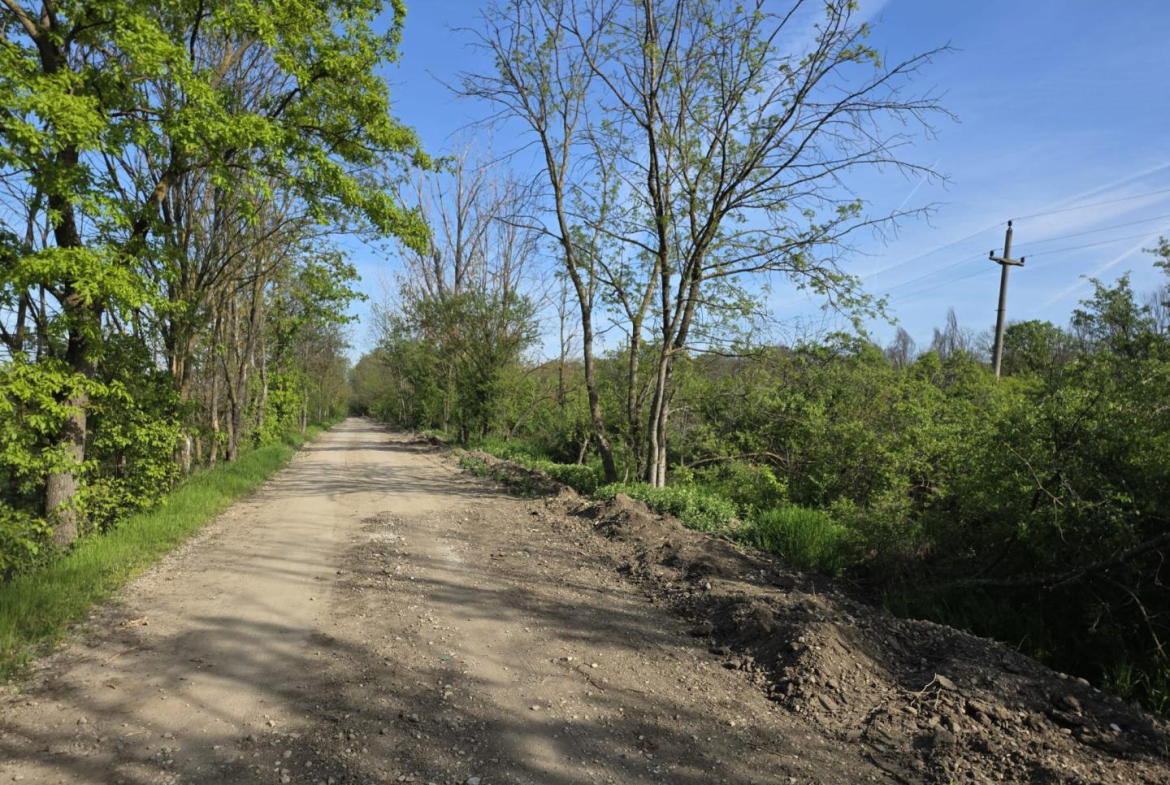 Magurele Strada Stejarului