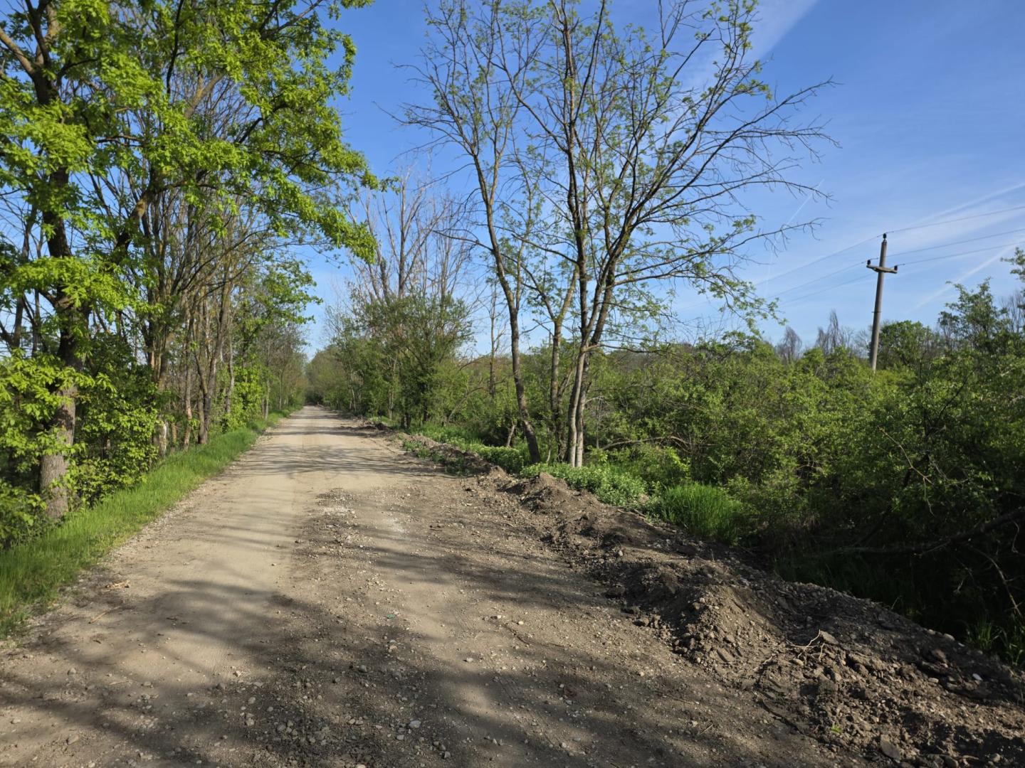Magurele Strada Stejarului