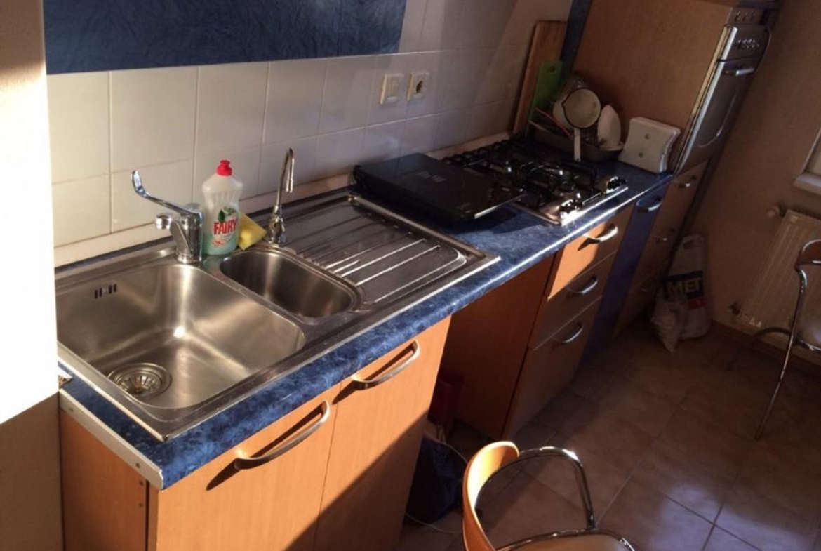 Lacul Tei vis a vis de Parcul Circului / langa Lidl /