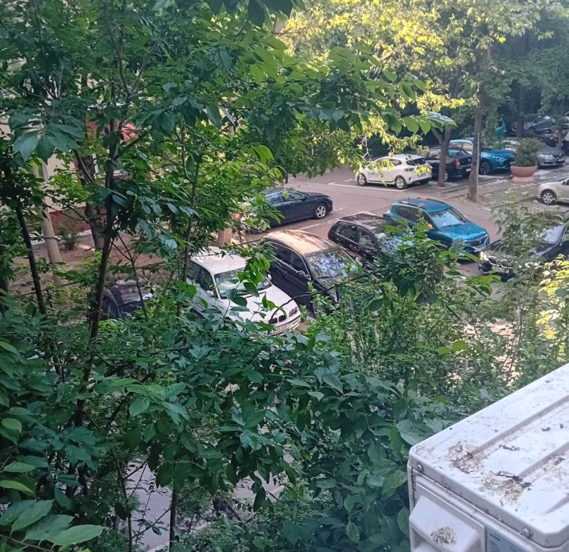 Berceni/Oraselul copiilor