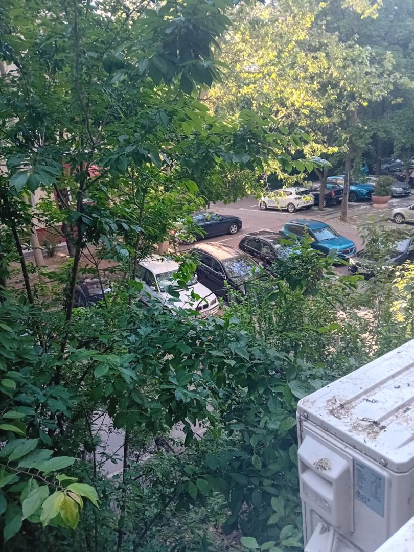 Berceni/Oraselul copiilor