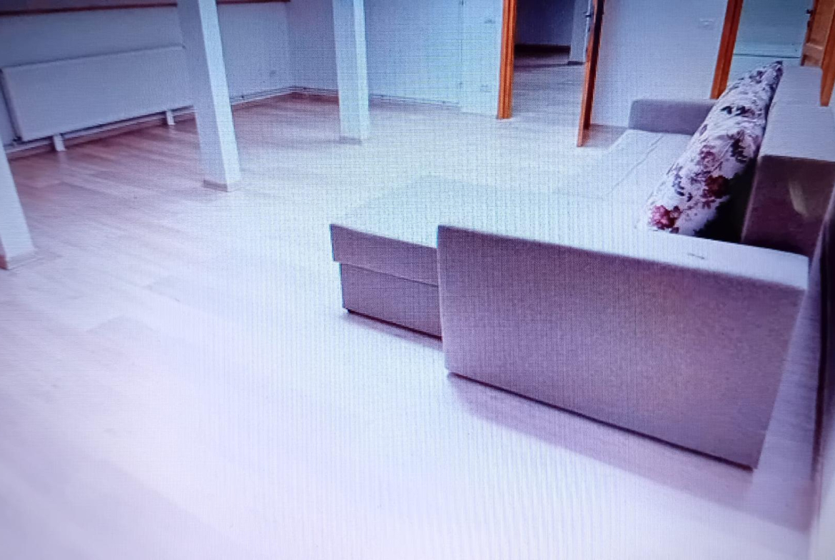 5 min metrou Iancului Casa renovata 2020 D+P+Pod pe teren 295 mp