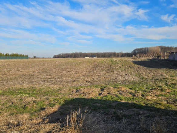 Vand teren cu suprafata de 2.6 Ha in Cornetu – Magurele